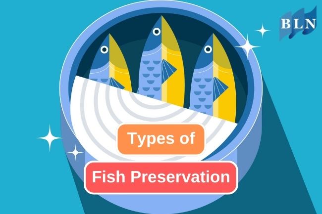 7 Most Used Fish Preservation Methods 